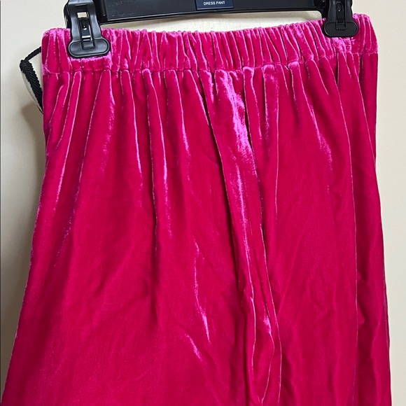 💘💓👛NWT J. Crew Bright Pink Velvet Pants - Picture 9 of 11